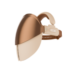 Rai-FACE Revival Al LED Light Therapy Mask-GOLD